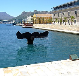 尾巴,鯨魚(yú),卡塔赫納