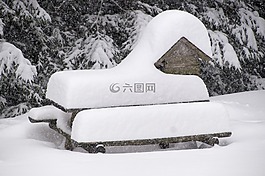 雪,寒冬,景觀
