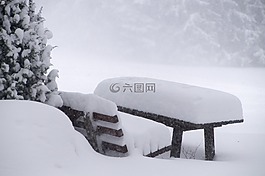 雪,寒冬,冬天