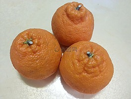 濟州島,hallabong,時令食品