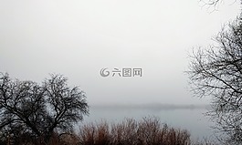 霧,薄霧,冬天