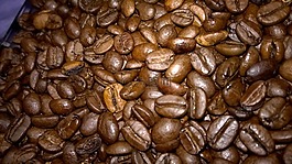 咖啡,bean,咖啡豆