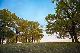 天空,羅馬尼亞,景觀