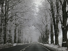 冬天,大道,雪