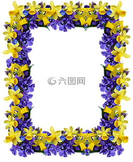 幀,春,鮮花