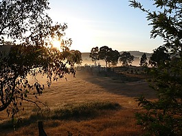 上午,日出,太陽