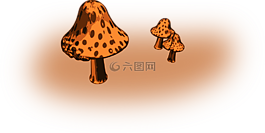 真菌,菌類,蘑菇