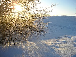 雪,性質(zhì),太陽(yáng)