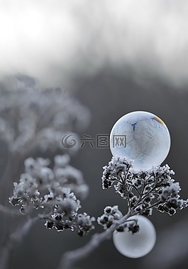 泡沫,肥皂,磨砂