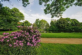 先生花園,達(dá)姆施塔特,黑森