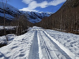 路,雪,山