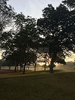 日出,印度,auroville