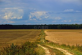 路,夏季,俄羅斯