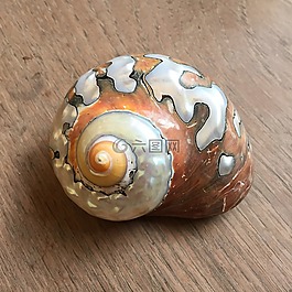 蝸牛,螺旋,關(guān)閉