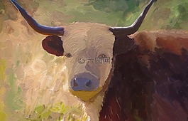動(dòng)物世界,農(nóng)業(yè),牛肉