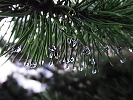 針,滴,雨滴