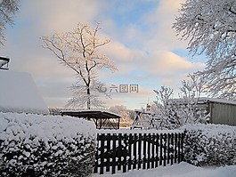 雪,樹,景觀