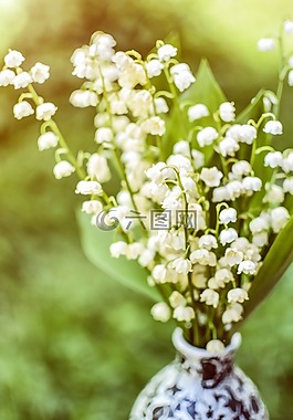 鈴蘭,花,鍋
