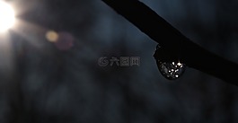 太陽,一滴水,滴