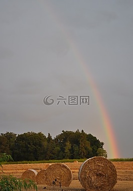 彩虹,秸稈,農(nóng)業(yè)