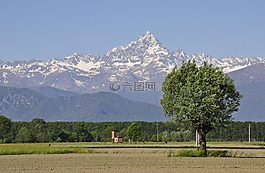 罗莎山脉,素,阿尔卑斯山