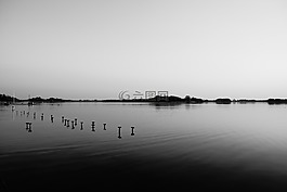 景觀,水,他們