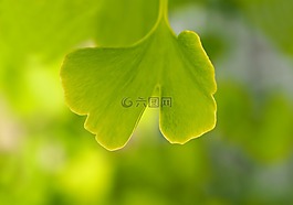 廠,性質(zhì),活