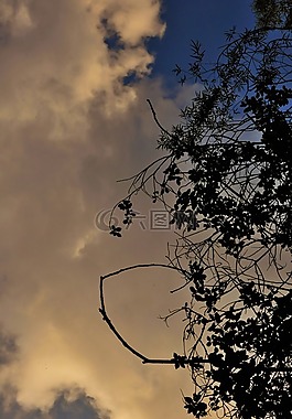 天空,云,日落
