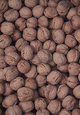 堅果,核桃,食品