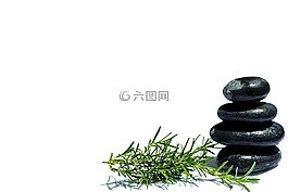 石頭,風(fēng)水,迷迭香