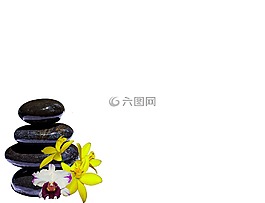 石頭,蘭花,組成
