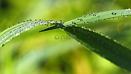 廠,性質(zhì),活