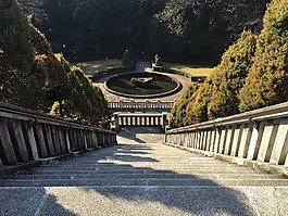 夏天,樹(shù),公園