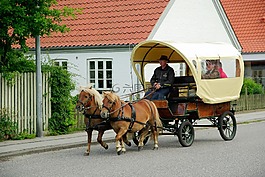 丹麥,購(gòu)物車,小馬