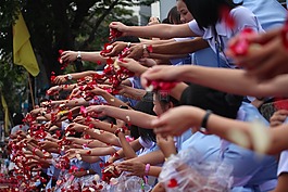 佛教徒,玫瑰花瓣,儀式