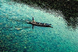 印度,湖,水