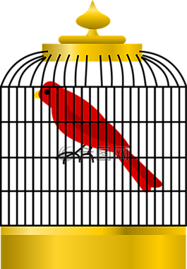 鳥,細(xì)胞,金色籠子里