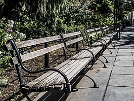 銀行,公園,花園長(zhǎng)凳