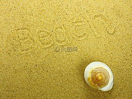 沙,海灘,外殼