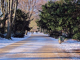 公園,冬天,離