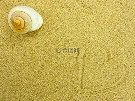 沙,海灘,外殼