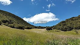 景觀,山,查看