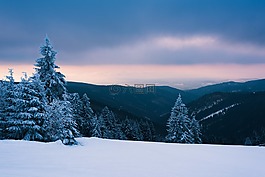 雪,冬天,冷