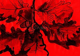 橡子,插圖,繪圖