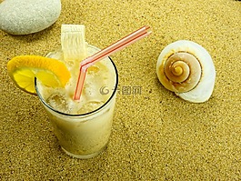 沙,海灘,外殼