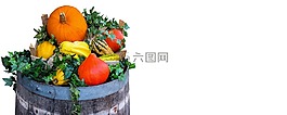 性質,收獲,秋季