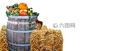性質(zhì),收獲,秋季
