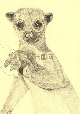 動(dòng)物,繪圖,鉛筆