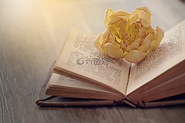 本書(shū),字體,老