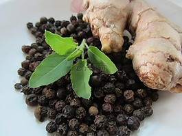 阿育吠陀,草藥,替代方案